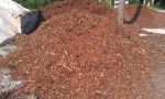 pine_mulch