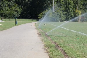 02_irrigation_hoover.JPG