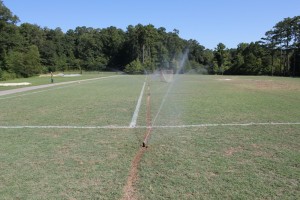 04_irrigation_hoover.JPG